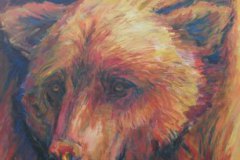 Baer