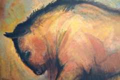 Bison