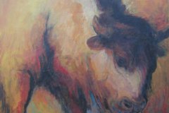 Bison