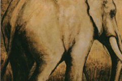 Elefant