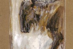 Gnu