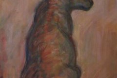 Katze