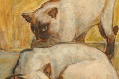 Katzen