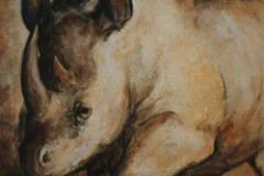 Nashorn