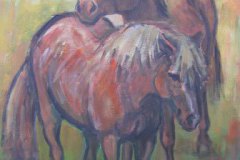 Ponys