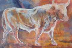 Stier-160x120