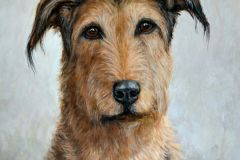 1_Hund