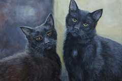 2-Katzen
