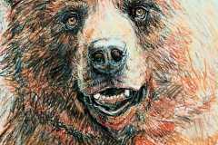 Baer