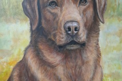Hund-50x60