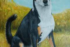 Hund