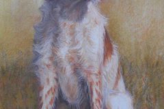 Hund