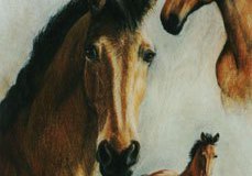 Pferd