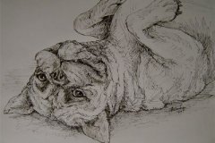 Portraits.E-Mail-003