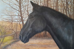 Portrait Pferdekopf Acryl auf Leinwand 80x60cm