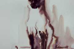 Portrait Katze  Aquarell  40x50cm