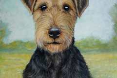 airedale-terrier-1